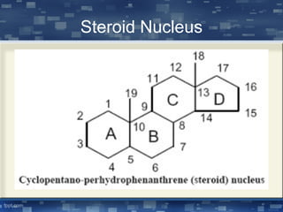 Steroid Nucleus
 