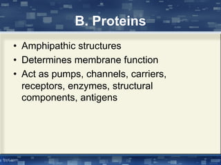 B. Proteins
• Amphipathic structures
• Determines membrane function
• Act as pumps, channels, carriers,
receptors, enzymes, structural
components, antigens
 