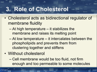 3. Role of Cholesterol
• Cholesterol acts as bidirectional regulator of
membrane fluidity
– At high temperature – it stabilizes the
membrane and raises its melting point
– At low temperature – it intercalates between the
phospholipids and prevents them from
clustering together and stiffens
• Without cholesterol
– Cell membrane would be too fluid, not firm
enough and too permeable to some molecules
 