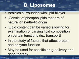 B. Liposomes
• Vesicles surrounded with lipid bilayer
• Consist of phospholipids that are of
natural or synthetic origin
• Lipid content can be varied allowing for
examination of varying lipid composition
on certain functions (ie., transport)
• In the study of factors that affect protein
and enzyme function
• May be used for specific drug delivery and
gene therapy
 