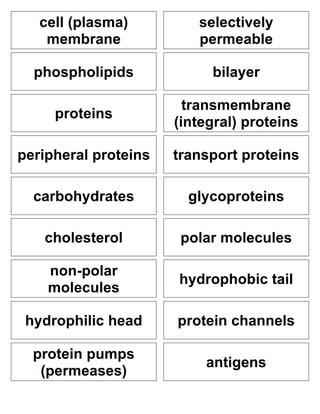 cell (plasma)
membrane

selectively
permeable

phospholipids

bilayer

proteins

transmembrane
(integral) proteins

peripheral proteins

transport proteins

carbohydrates

glycoproteins

cholesterol

polar molecules

non-polar
molecules

hydrophobic tail

hydrophilic head

protein channels

protein pumps
(permeases)

antigens

 