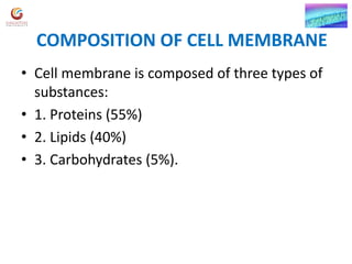 Cell membrane functions | PDF