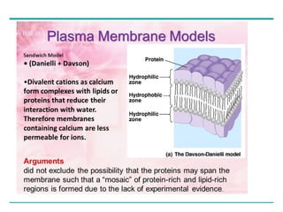 cell membrane and models discussing about the membranes bound ...