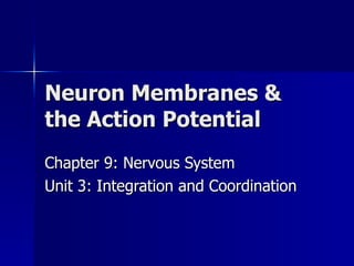 Neuron Membranes & the Action Potential Chapter 9: Nervous System Unit 3: Integration and Coordination 