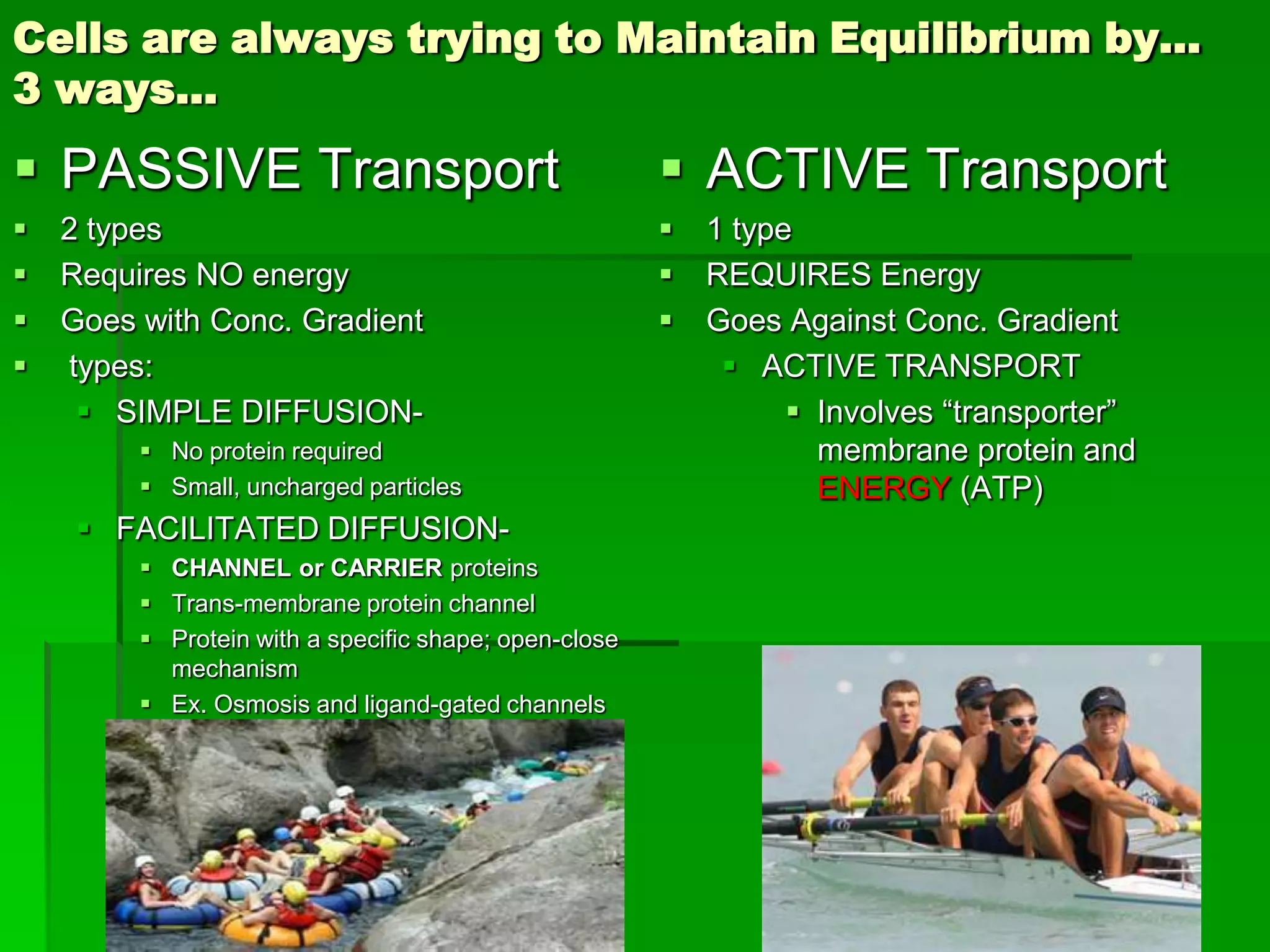 Cell membrane powerpoint diffusion and osmosis revised | PPTX
