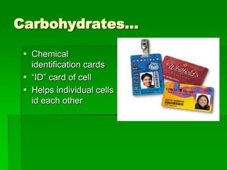 Carbohydrates…

  Chemical
   identification cards
  “ID” card of cell
  Helps individual cells
   id each other
 