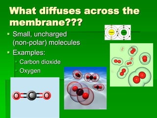 What diffuses across the
membrane???
 Small, uncharged
  (non-polar) molecules
 Examples:
   Carbon dioxide
   Oxygen
 