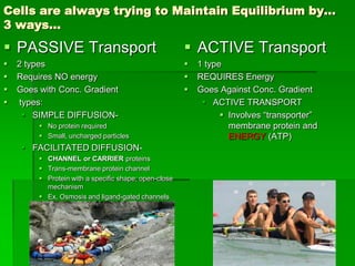 Cells are always trying to Maintain Equilibrium by…
3 ways…

 PASSIVE Transport                                     ACTIVE Transport
   2 types                                               1 type
   Requires NO energy                                    REQUIRES Energy
   Goes with Conc. Gradient                              Goes Against Conc. Gradient
   types:                                                   ACTIVE TRANSPORT
      SIMPLE DIFFUSION-                                          Involves “transporter”
          No protein required                                     membrane protein and
          Small, uncharged particles                              ENERGY (ATP)
      FACILITATED DIFFUSION-
          CHANNEL or CARRIER proteins
          Trans-membrane protein channel
          Protein with a specific shape; open-close
           mechanism
          Ex. Osmosis and ligand-gated channels
 