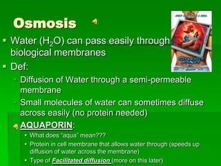 Osmosis
 Water (H2O) can pass easily through most
  biological membranes
 Def:
   Diffusion of Water through a semi-permeable
    membrane
   Small molecules of water can sometimes diffuse
    across easily (no protein needed)
   AQUAPORIN:
     What does “aqua” mean???
     Protein in cell membrane that allows water through (speeds up
      diffusion of water across the membrane)
     Type of Facilitated diffusion (more on this later)
 