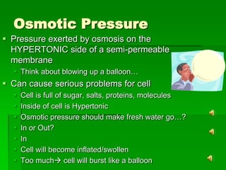 Osmotic Pressure
 Pressure exerted by osmosis on the
  HYPERTONIC side of a semi-permeable
  membrane
   Think about blowing up a balloon…
 Can cause serious problems for cell
     Cell is full of sugar, salts, proteins, molecules
     Inside of cell is Hypertonic
     Osmotic pressure should make fresh water go…?
     In or Out?
     In
     Cell will become inflated/swollen
     Too much cell will burst like a balloon
 
