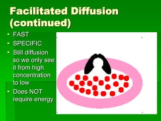 Facilitated Diffusion
(continued)
 FAST
 SPECIFIC
 Still diffusion
  so we only see
  it from high
  concentration
  to low
 Does NOT
  require energy
 