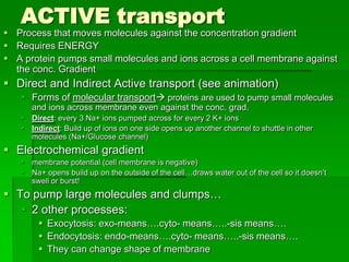 ACTIVE transport
 Process that moves molecules against the concentration gradient
 Requires ENERGY
 A protein pumps small molecules and ions across a cell membrane against
  the conc. Gradient
 Direct and Indirect Active transport (see animation)
    Forms of molecular transport proteins are used to pump small molecules
      and ions across membrane even against the conc. grad.
    Direct: every 3 Na+ ions pumped across for every 2 K+ ions
    Indirect: Build up of ions on one side opens up another channel to shuttle in other
     molecules (Na+/Glucose channel)
 Electrochemical gradient
    membrane potential (cell membrane is negative)
    Na+ opens build up on the outside of the cell…draws water out of the cell so it doesn’t
     swell or burst!
 To pump large molecules and clumps…
    2 other processes:
         Exocytosis: exo-means….cyto- means…..-sis means….
         Endocytosis: endo-means….cyto- means…..-sis means….
         They can change shape of membrane
 