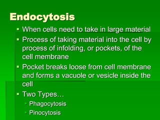 Endocytosis
  When cells need to take in large material
  Process of taking material into the cell by
   process of infolding, or pockets, of the
   cell membrane
  Pocket breaks loose from cell membrane
   and forms a vacuole or vesicle inside the
   cell
  Two Types…
    Phagocytosis
    Pinocytosis
 