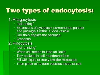 Two types of endocytosis:
1. Phagocytosis
   “cell eating”
   Extensions of cytoplasm surround the particle
    and package it within a food vesicle
   Cell then engulfs the package
   Amoebas
2. Pinocytosis
     “cell drinking”
     When cell needs to take up liquid
     Tiny pockets in cell membrane form
     Fill with liquid or many smaller molecules
     Then pinch off to form vesicles inside of cell
 