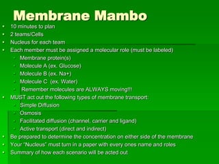 Membrane Mambo
   10 minutes to plan
   2 teams/Cells
   Nucleus for each team
   Each member must be assigned a molecular role (must be labeled)
      Membrane protein(s)
      Molecule A (ex. Glucose)
      Molecule B (ex. Na+)
      Molecule C (ex. Water)
      Remember molecules are ALWAYS moving!!!
   MUST act out the following types of membrane transport:
      Simple Diffusion
      Osmosis
      Facilitated diffusion (channel, carrier and ligand)
      Active transport (direct and indirect)
   Be prepared to determine the concentration on either side of the membrane
   Your “Nucleus” must turn in a paper with every ones name and roles
   Summary of how each scenario will be acted out
 