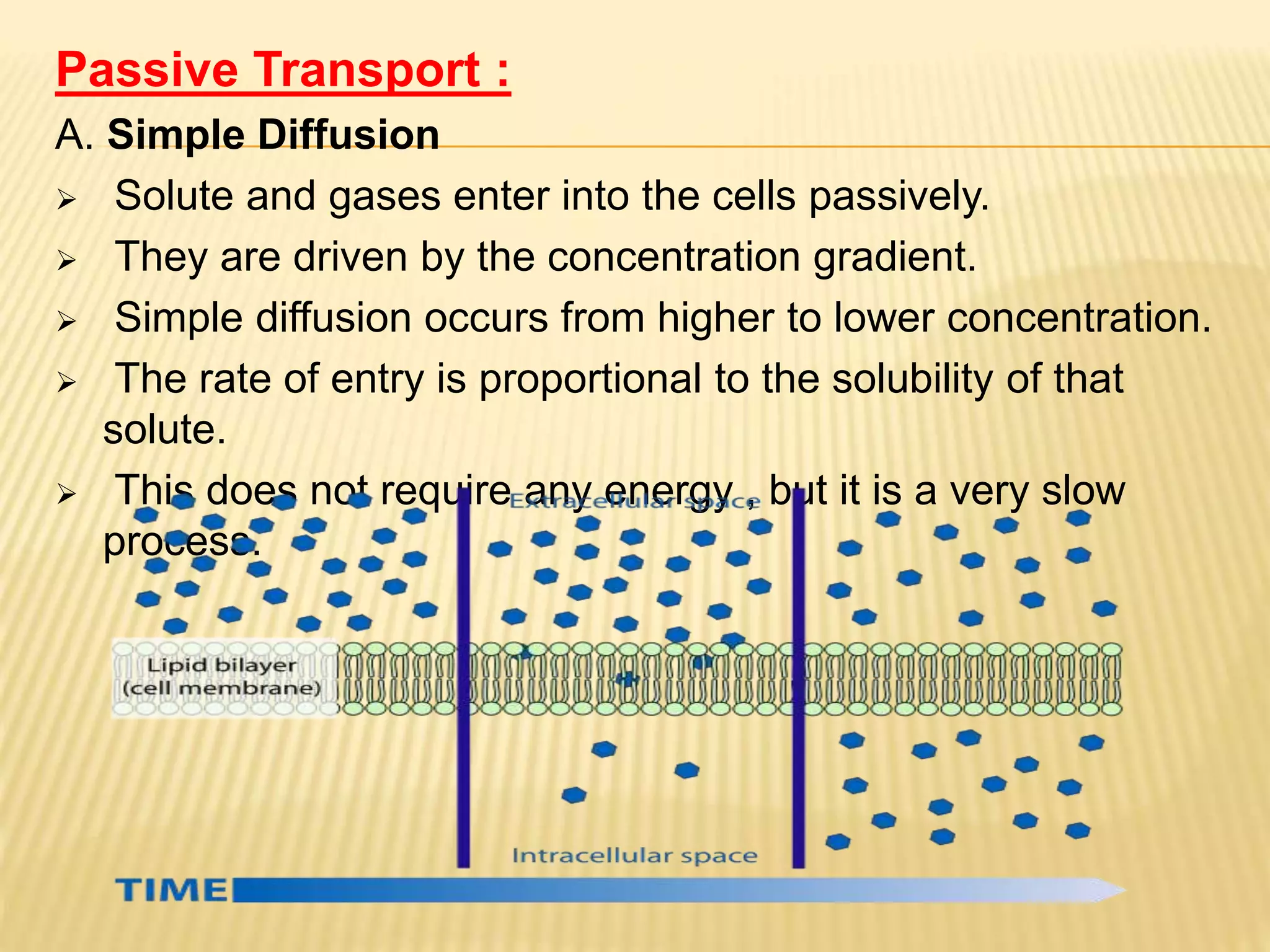 Cell membrane ppt | PPTX