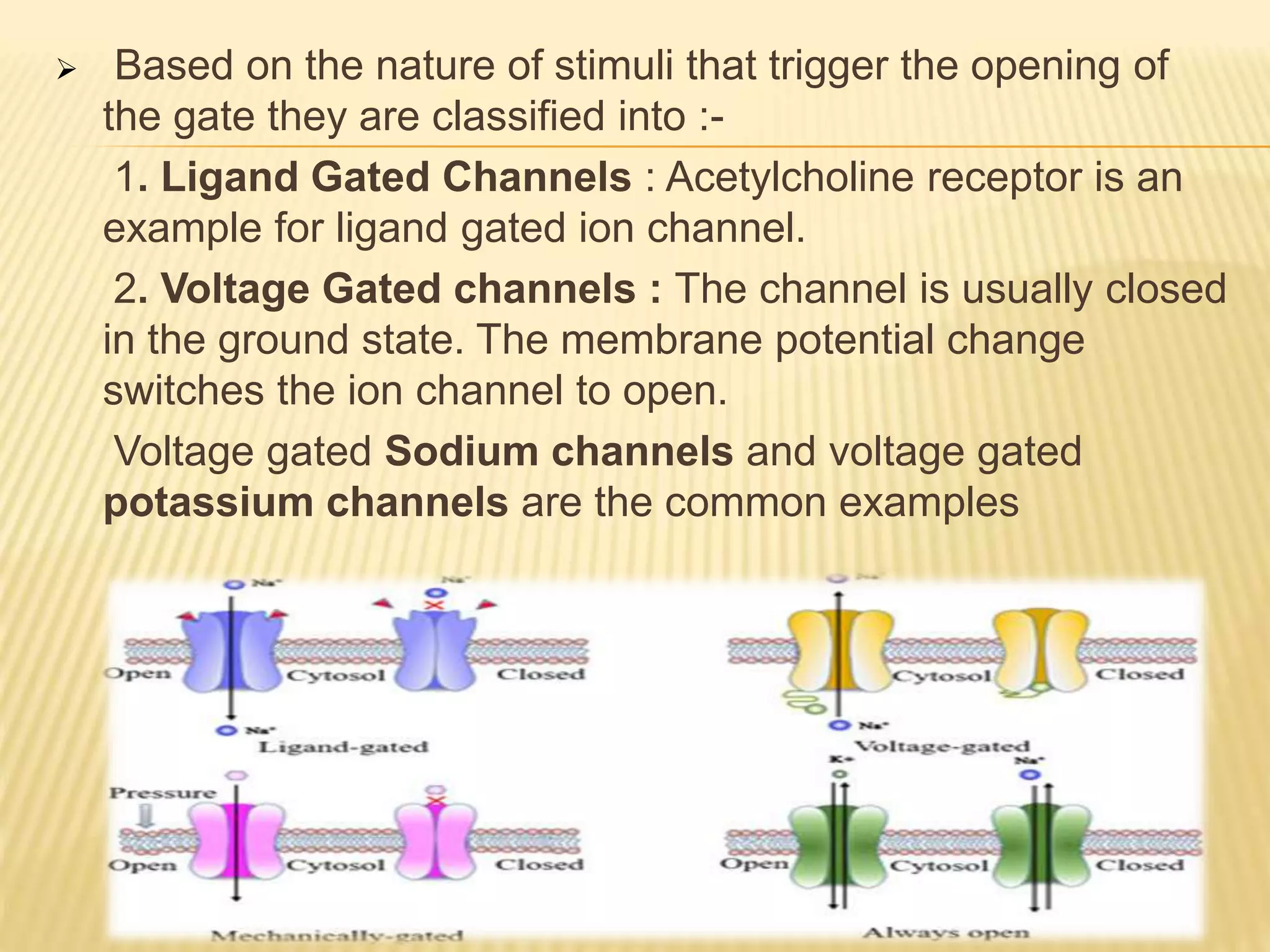 Mask Level Cell Gate Cell membrane ppt | PPTX