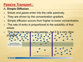 Passive Transport :
A. Simple Diffusion
 Solute and gases enter into the cells passively.
 They are driven by the concentration gradient.
 Simple diffusion occurs from higher to lower concentration.
 The rate of entry is proportional to the solubility of that
solute.
 This does not require any energy , but it is a very slow
process.
 
