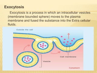 Exocytosis
Exocytosis is a process in which an intracellular vesicles
(membrane bounded sphere) moves to the plasma
membrane and fused the substance into the Extra cellular
fluids.
 