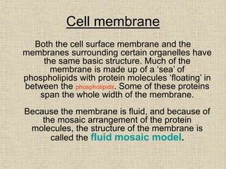 Cell membrane
Both the cell surface membrane and the
membranes surrounding certain organelles have
the same basic structure. Much of the
membrane is made up of a ‘sea’ of
phospholipids with protein molecules ‘floating’ in
between the phospholipids. Some of these proteins
span the whole width of the membrane.
Because the membrane is fluid, and because of
the mosaic arrangement of the protein
molecules, the structure of the membrane is
called the fluid mosaic model.
 