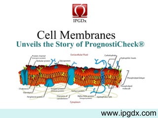 Cell Membranes  www.ipgdx.com Unveils the Story of PrognostiCheck® 