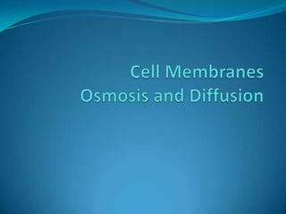 Cell MembranesOsmosis and Diffusion 