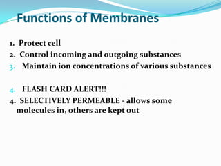 Functions of Membranes1.  Protect cell2.  Control incoming and outgoing substancesMaintain ion concentrations of various substancesFLASH CARD ALERT!!! 4.  SELECTIVELY PERMEABLE - allows some molecules in, others are kept out