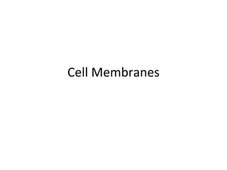 Cell Membranes 