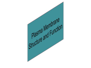 Cell Membrane Structure And Function Assignment Cell membrane structure. &and functions | PPTX