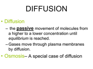 • Diffusion
– the passive movement of molecules from
a higher to a lower concentration until
equilibrium is reached.
–Gases move through plasma membranes
by diffusion.
• Osmosis– A special case of diffusion
DIFFUSION
 