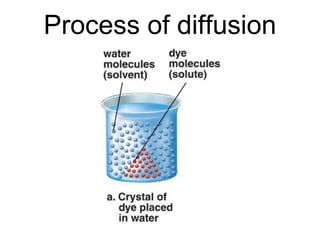 Process of diffusion
 