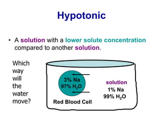 Hypotonic
• A solution with a lower solute concentration
compared to another solution.
3% Na
97% H2O
Red Blood Cell
1% Na
99% H2O
solution
Which
way
will
the
water
move?
 