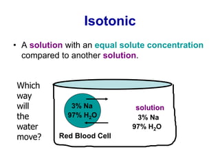 Isotonic
• A solution with an equal solute concentration
compared to another solution.
3% Na
97% H2O
Red Blood Cell
3% Na
97% H2O
solution
Which
way
will
the
water
move?
 