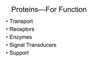 Proteins—For Function
• Transport
• Receptors
• Enzymes
• Signal Transducers
• Support
 