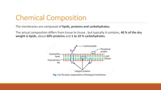 Chemical Composition
The membranes are composed of lipids, proteins and carbohydrates.
The actual composition differs from tissue to tissue , but typically it contains, 40 % of the dry
weight is lipids, about 60% proteins and 1 to 10 % carbohydrates.
 