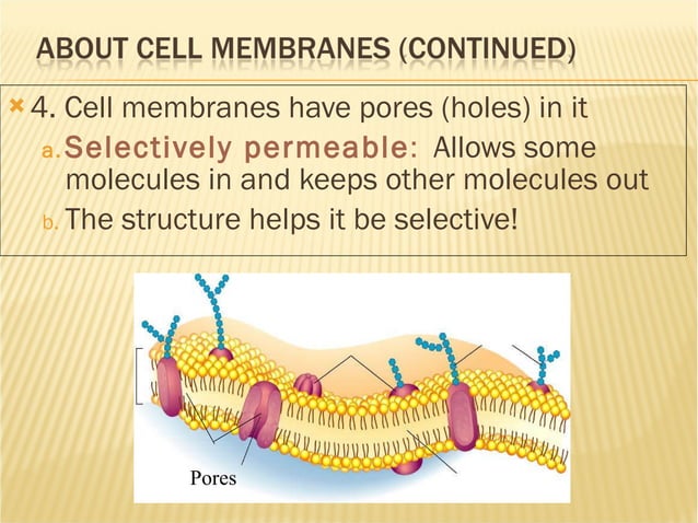 Cell membrane structure | PPT | Chemistry | Science
