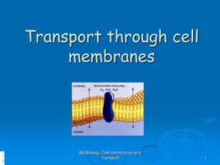Transport through cell
         membranes




          AS Biology, Cell membranes and
i
                     Transport             1
s
 