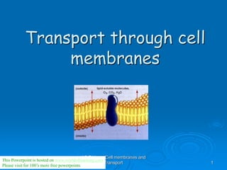 AS Biology, Cell membranes and
Transport 1
Transport through cell
membranes
This Powerpoint is hosted on www.worldofteaching.com
Please visit for 100’s more free powerpoints
 