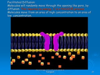 AS Biology, Cell membranes and
Transport 21
Facilitated Diffusion:
Molecules will randomly move through the opening like pore, by
diffusion. This requires no energy, it is a PASSIVE process.
Molecules move from an area of high concentration to an area of
low concentration.
 