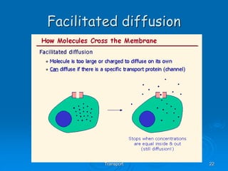 AS Biology, Cell membranes and
Transport 22
Facilitated diffusion
 