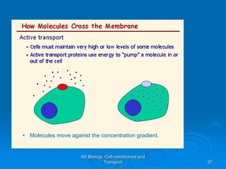 AS Biology, Cell membranes and
Transport 37
• Molecules move against the concentration gradient.
 