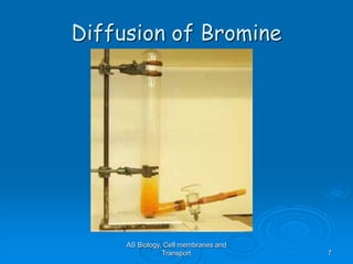 AS Biology, Cell membranes and
Transport 7
Diffusion of Bromine
 