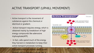 ACTIVE TRANSPORT (UPHILL MOVEMENT)
• Active transport is the movement of
substances against the chemical or
electrical or gradient.
• Active transport requires energy, which is
obtained mainly by breakdown of high
energy compounds like adenosine
triphosphate(ATP).
• In fact, cells spend much of the energy
they harvest in metabolism to keep their
active transport processes running.
• Substances that are actively transported
+ +
 