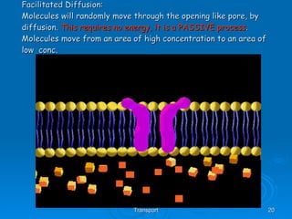 Facilitated Diffusion: Molecules will randomly move through the opening like pore, by diffusion.  This requires no energy, it is a PASSIVE process .  Molecules move from an area of high concentration to an area of low  conc.     AS Biology, Cell membranes and Transport 