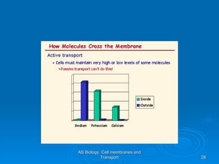 AS Biology, Cell membranes and Transport 