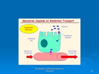 AS Biology, Cell membranes and Transport 