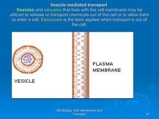 Vesicle-mediated transport  Vesicles  and  vacuoles  that fuse with the cell membrane may be utilized to release or transport chemicals out of the cell or to allow them to enter a cell.  Exocytosis  is the term applied when transport is out of the cell. AS Biology, Cell membranes and Transport 