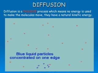 DIFFUSION AS Biology, Cell membranes and Transport Diffusion is a  PASSIVE  process which means no energy is used to make the molecules move, they have a natural kinetic energy. 