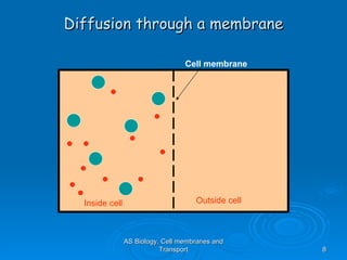 Diffusion through a membrane AS Biology, Cell membranes and Transport Cell membrane Inside cell Outside cell 