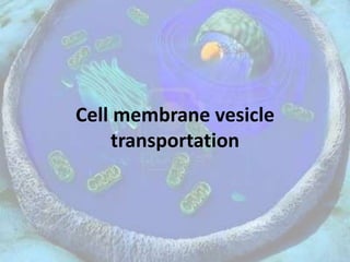 Cell membrane vesicle
transportation
 
